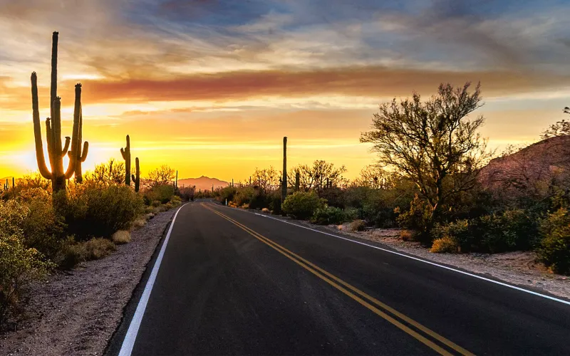 Tucson landscape